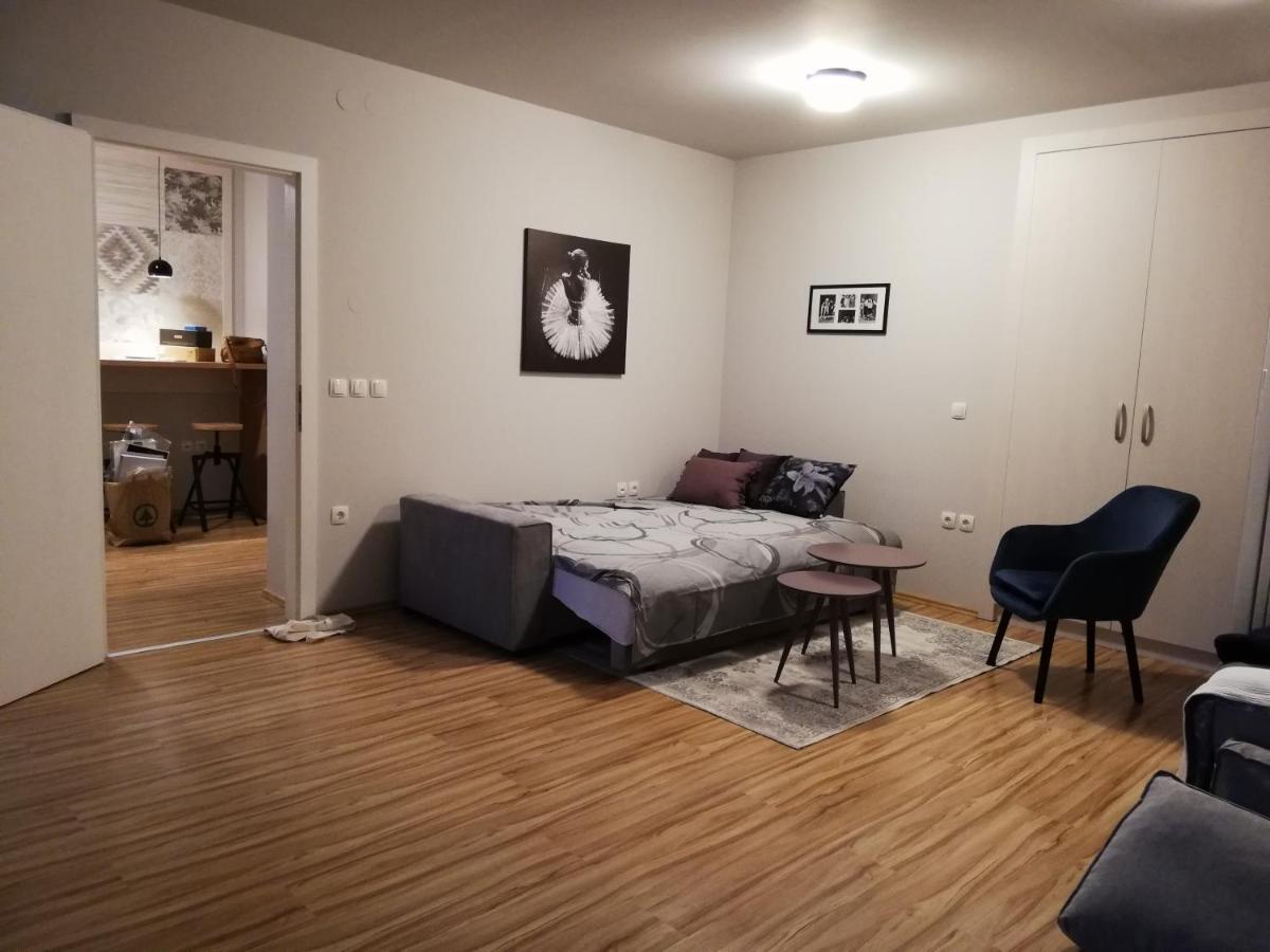Apartment Nobl Plac Celje Bagian luar foto